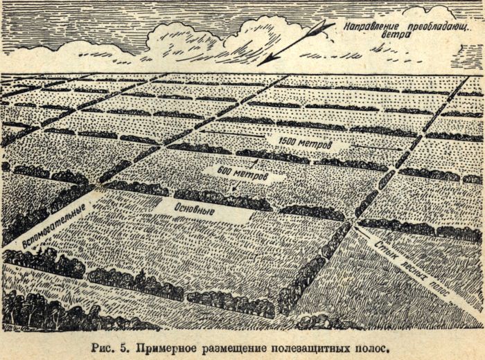 Борьба с засухой | Проект «Исторические Материалы»